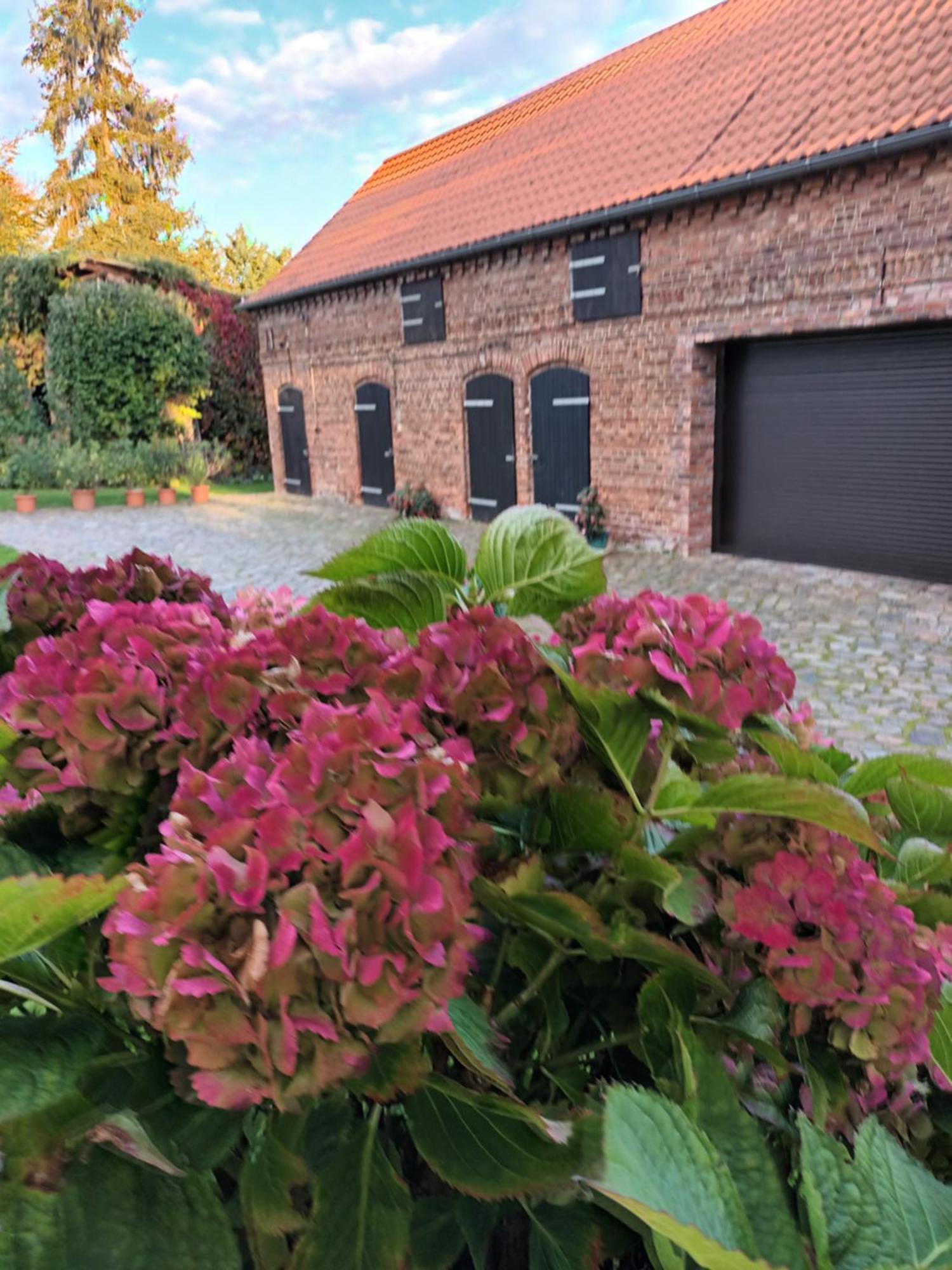 Ferienwohnung Perlitz Petersdorf  ภายนอก รูปภาพ