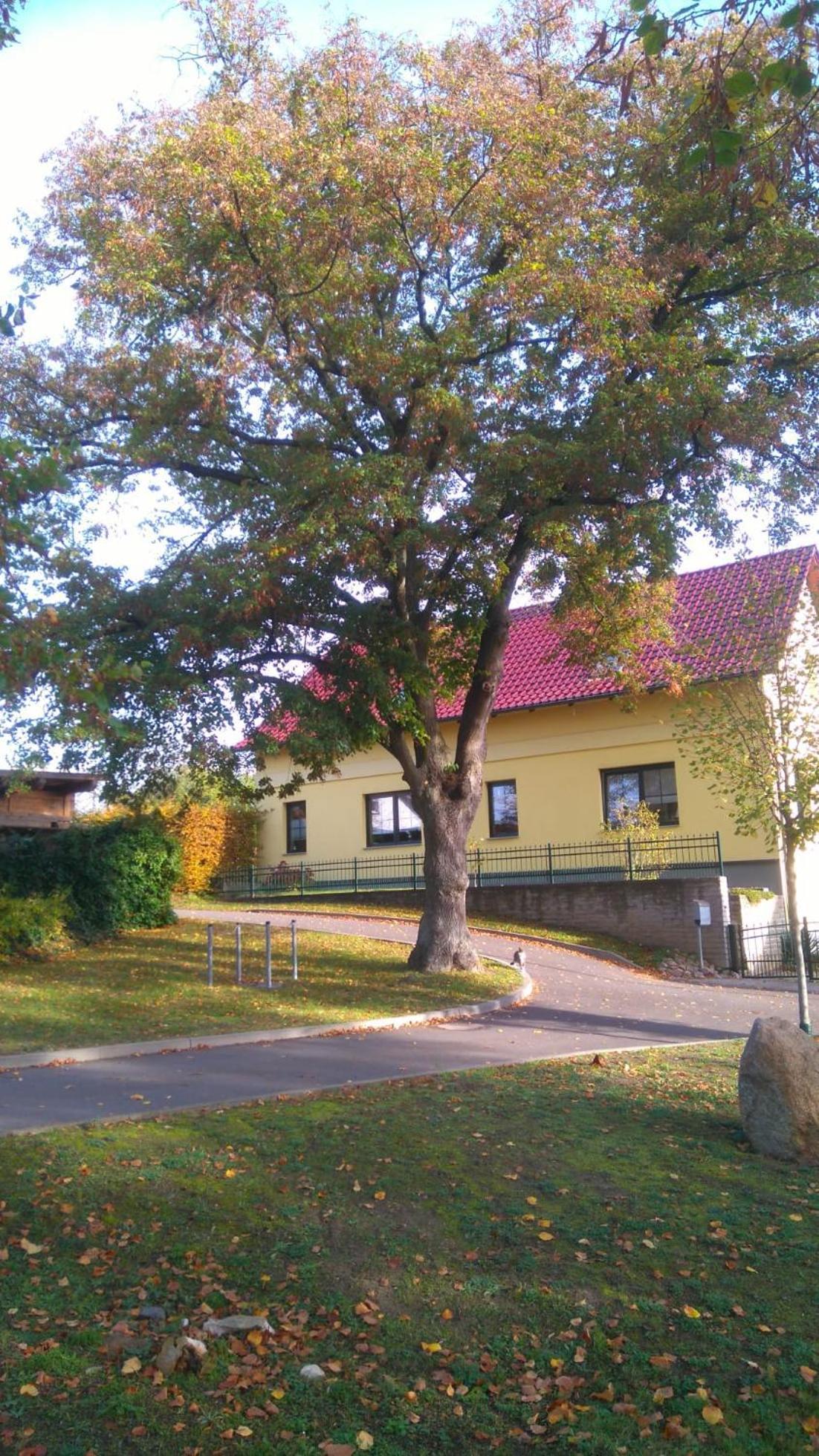 Ferienwohnung Perlitz Petersdorf  ภายนอก รูปภาพ